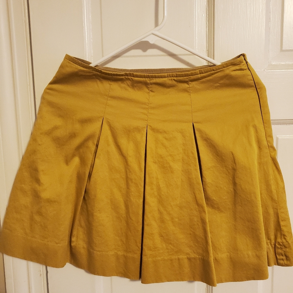 the limited skirt